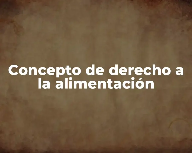 Concepto de derecho a la alimentación