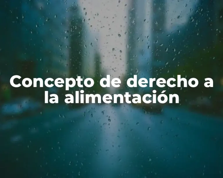 Concepto de derecho a la alimentación