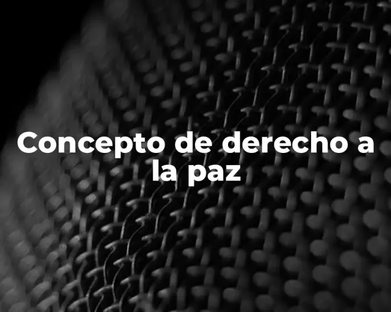 Concepto de derecho a la paz