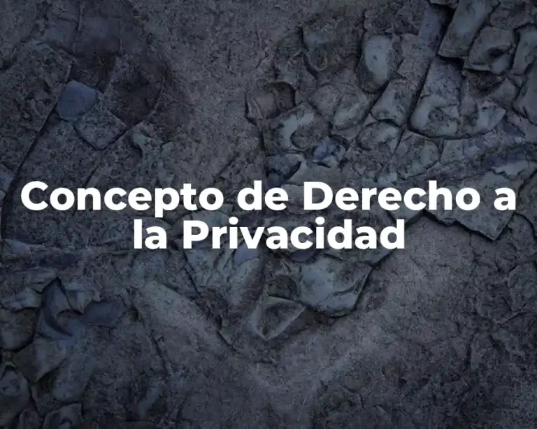 Concepto de Derecho a la Privacidad