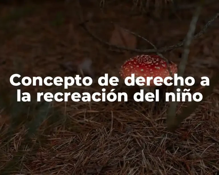 Concepto de derecho a la recreación del niño