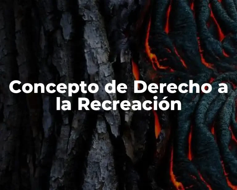 Concepto de Derecho a la Recreación