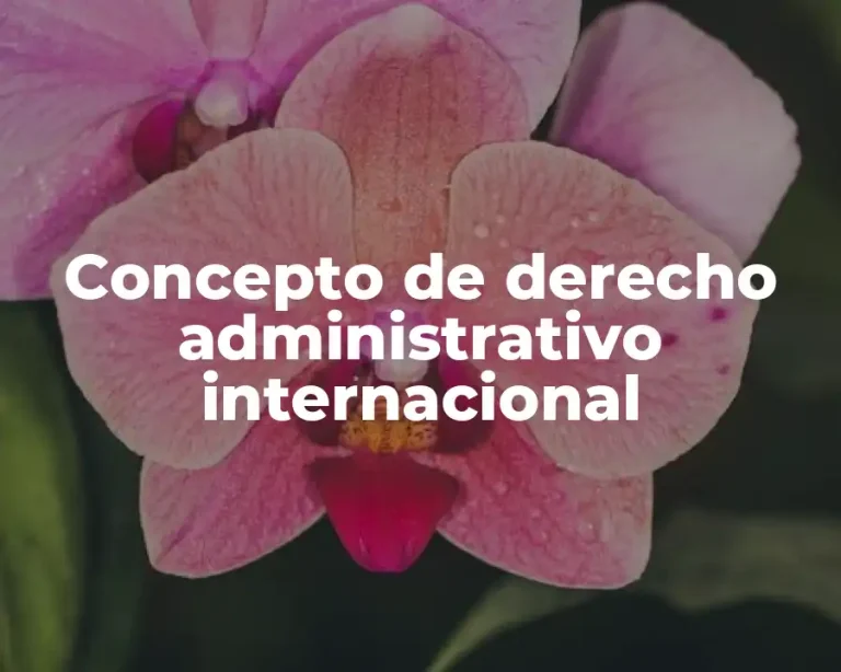 Concepto de derecho administrativo internacional