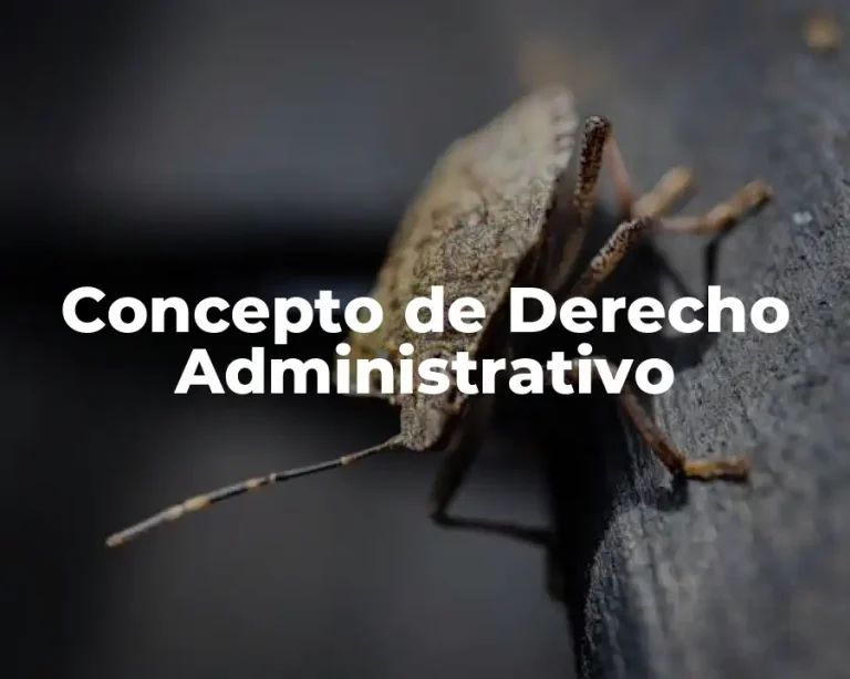 Concepto de Derecho Administrativo