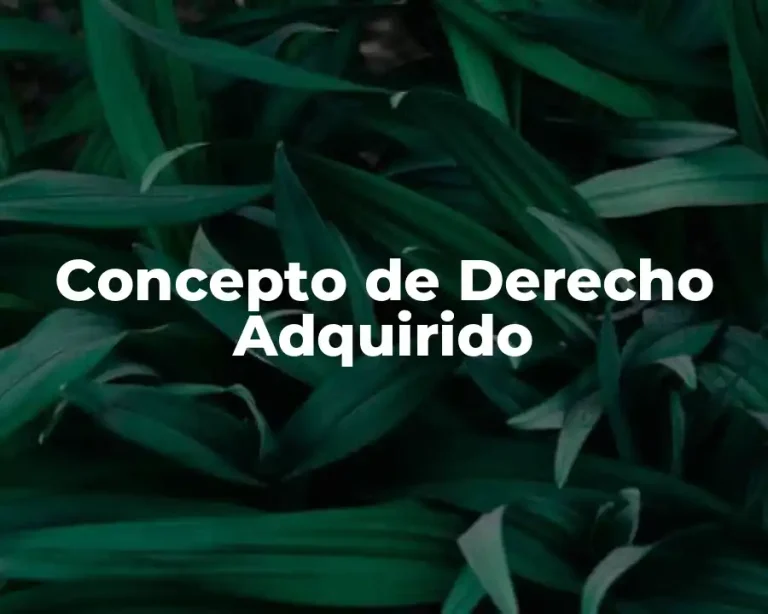 Concepto de Derecho Adquirido