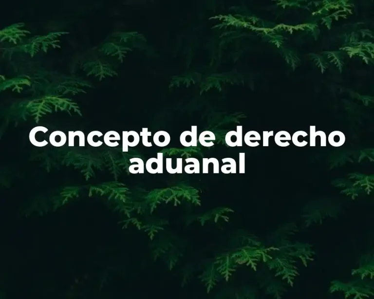 Concepto de derecho aduanal