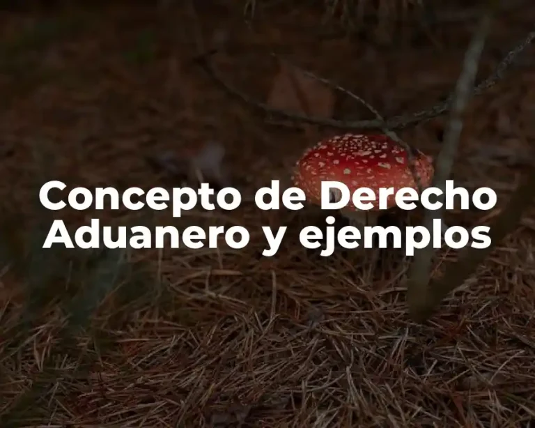 Concepto de Derecho Aduanero y ejemplos