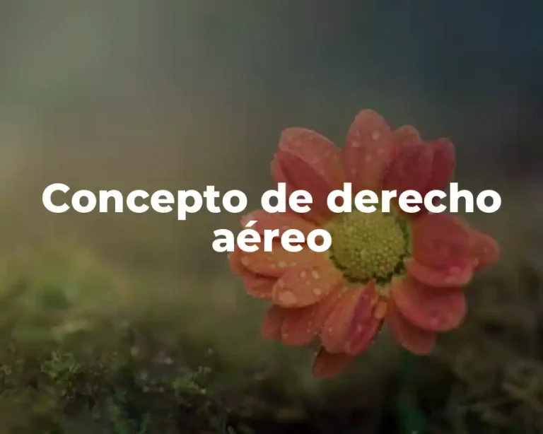 Concepto de derecho aéreo