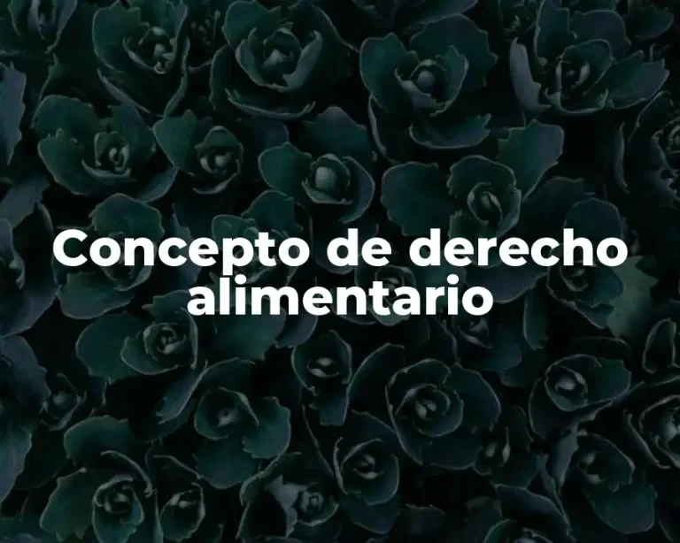 Concepto de derecho alimentario