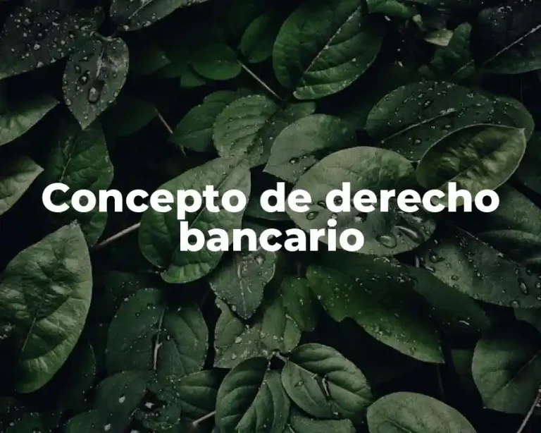 Concepto de derecho bancario