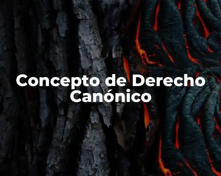 Concepto de Derecho Canónico