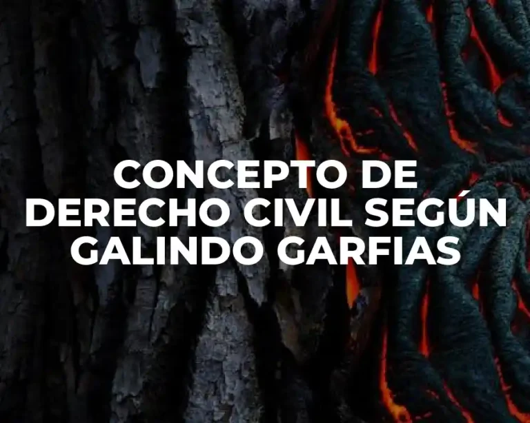 CONCEPTO DE DERECHO CIVIL SEGÚN GALINDO GARFIAS