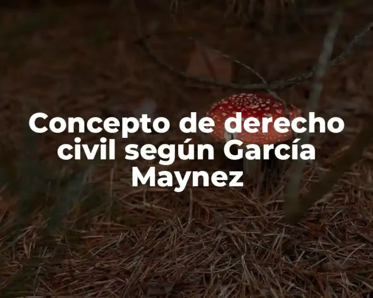 Concepto de derecho civil según García Maynez