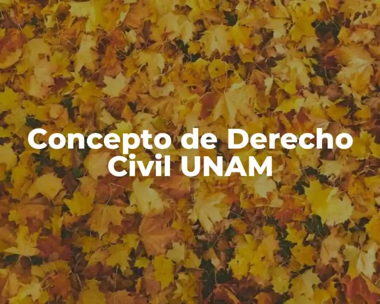 Concepto de Derecho Civil UNAM