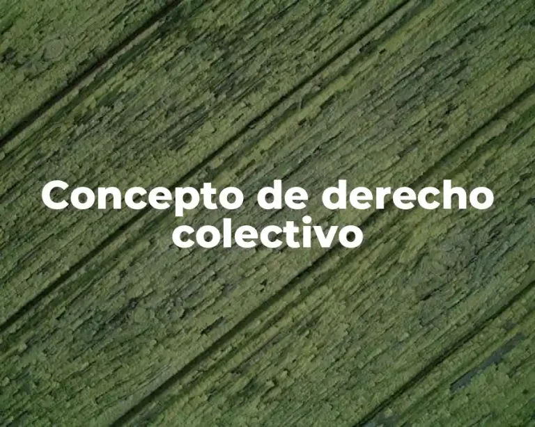 Concepto de derecho colectivo