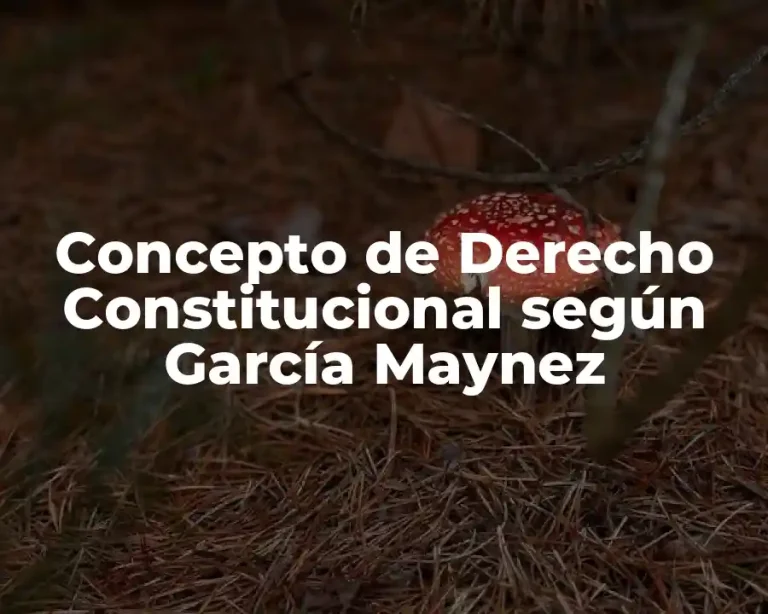 Concepto de Derecho Constitucional según García Maynez