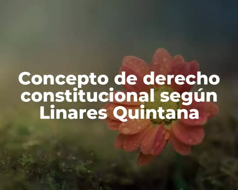 Concepto de derecho constitucional según Linares Quintana