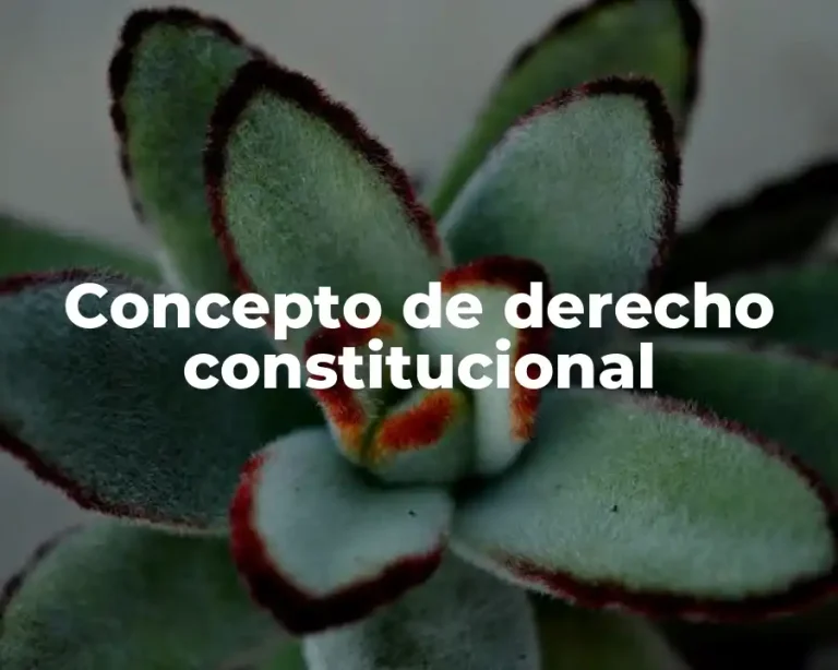 Concepto de derecho constitucional