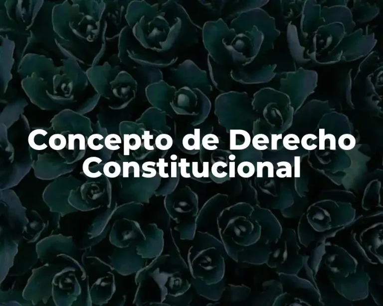 Concepto de Derecho Constitucional