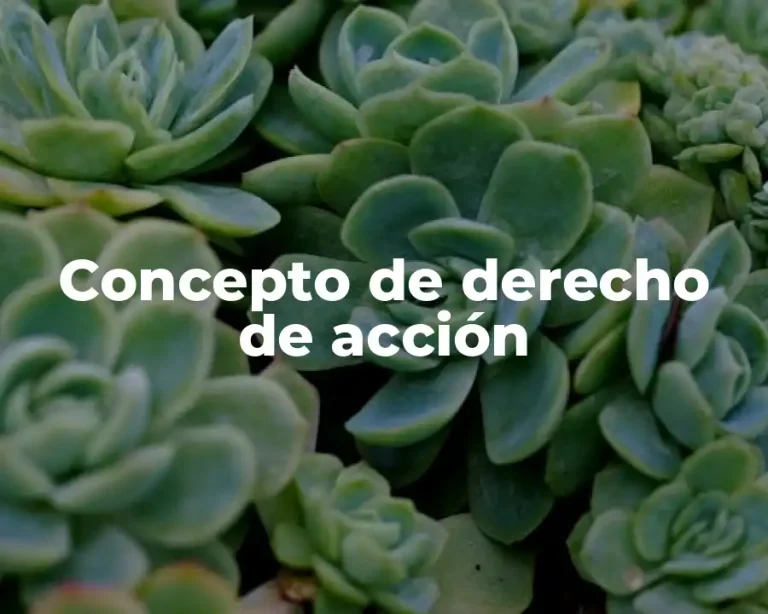 Concepto de derecho de acción