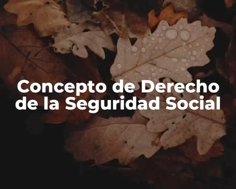 Concepto de Derecho de la Seguridad Social