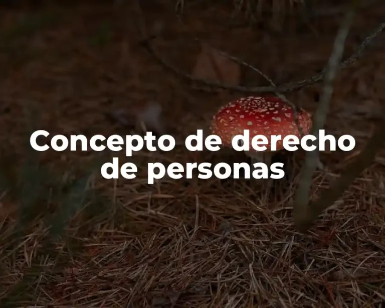 Concepto de derecho de personas
