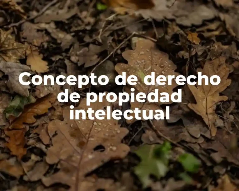 Concepto de derecho de propiedad intelectual