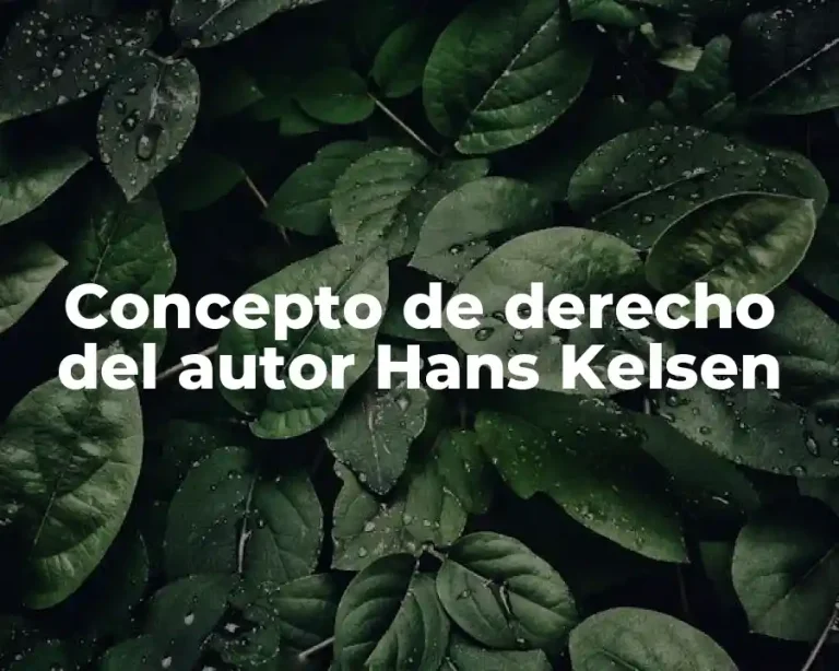 Concepto de derecho del autor Hans Kelsen