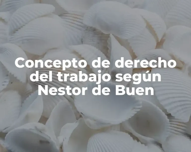 Concepto de derecho del trabajo según Nestor de Buen