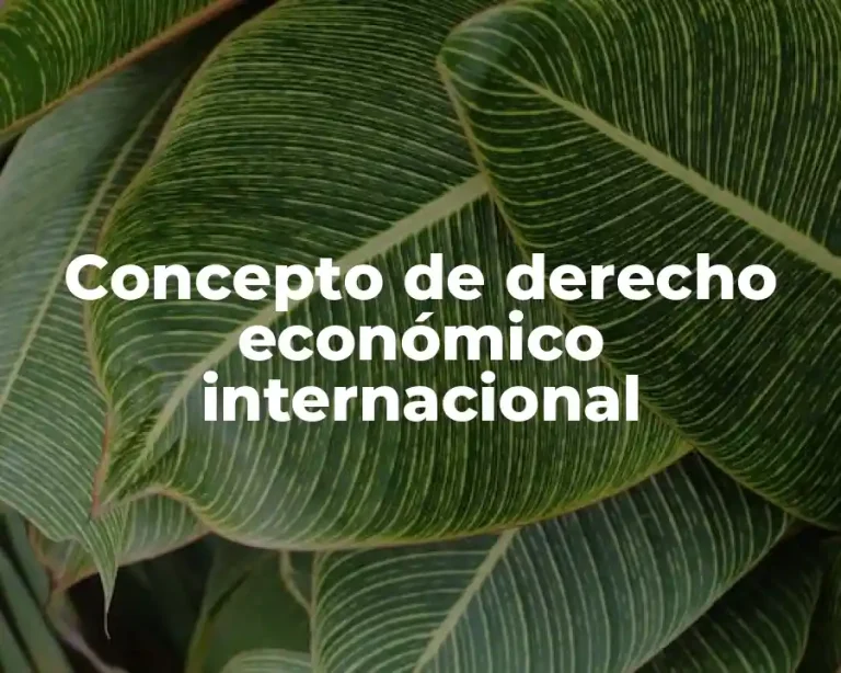 Concepto de derecho económico internacional