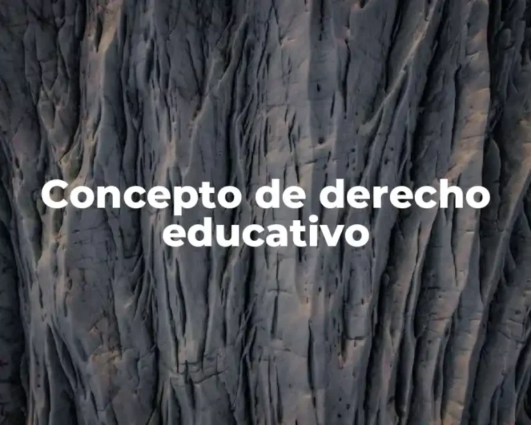 Concepto de derecho educativo