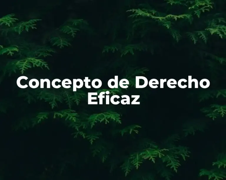 Concepto de Derecho Eficaz