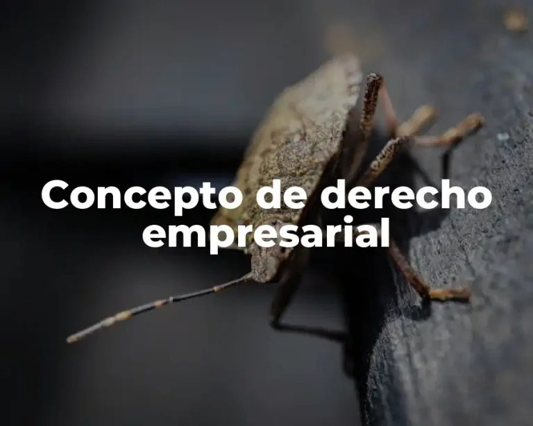 Concepto de derecho empresarial