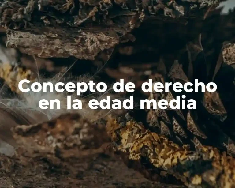 Concepto de derecho en la edad media