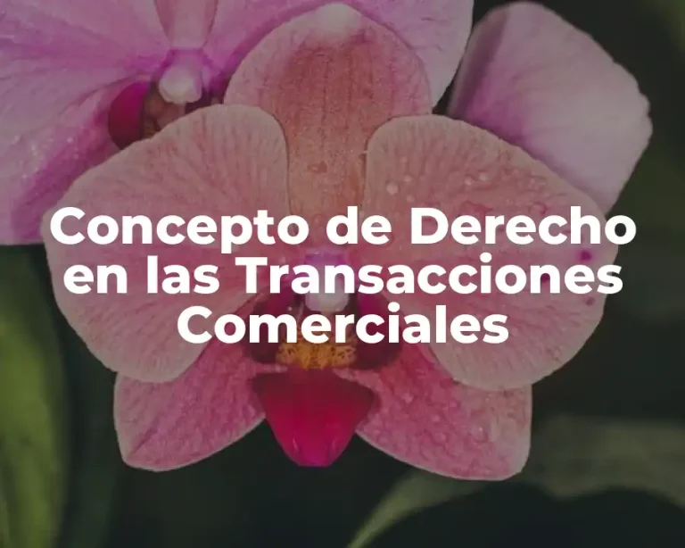 Concepto de Derecho en las Transacciones Comerciales