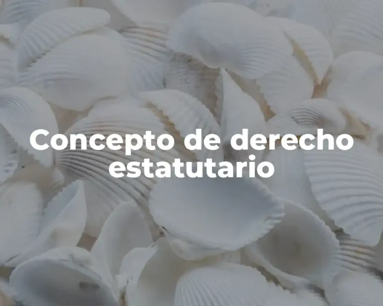 Concepto de derecho estatutario