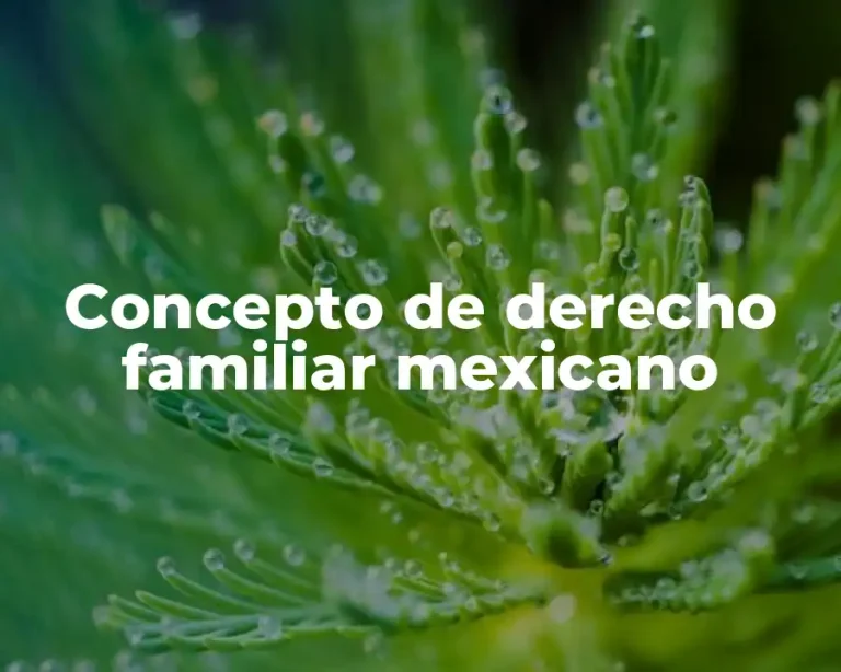 Concepto de derecho familiar mexicano