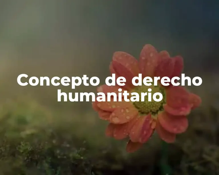 Concepto de derecho humanitario