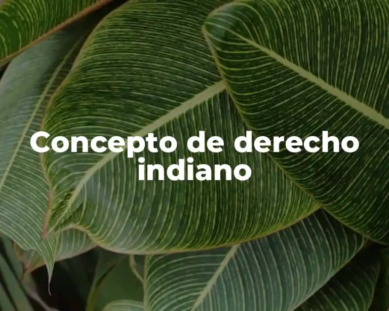 Concepto de derecho indiano