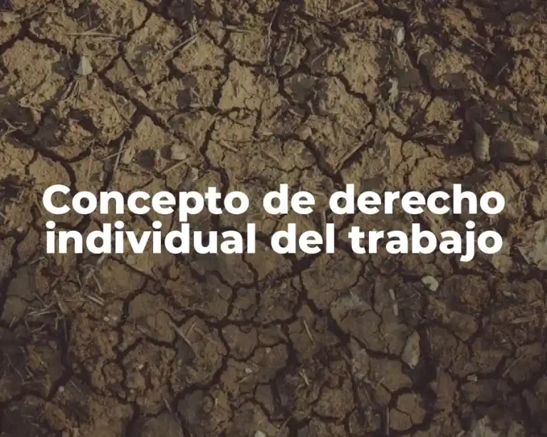 Concepto de derecho individual del trabajo