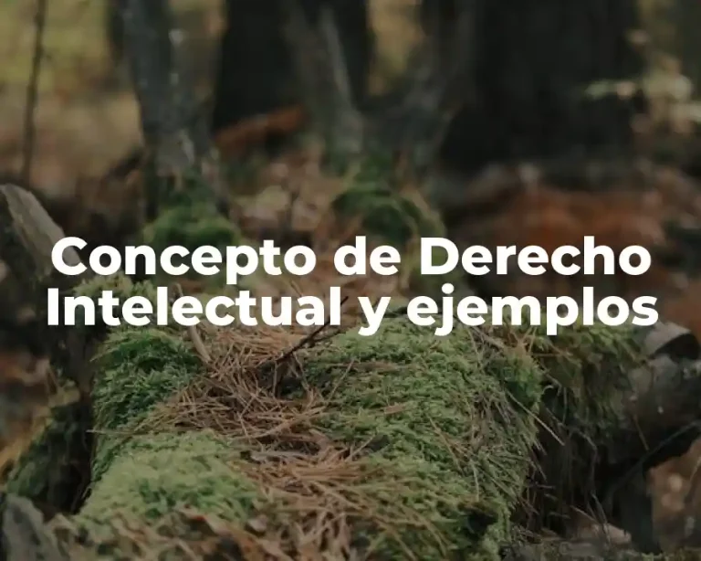 Concepto de Derecho Intelectual y ejemplos