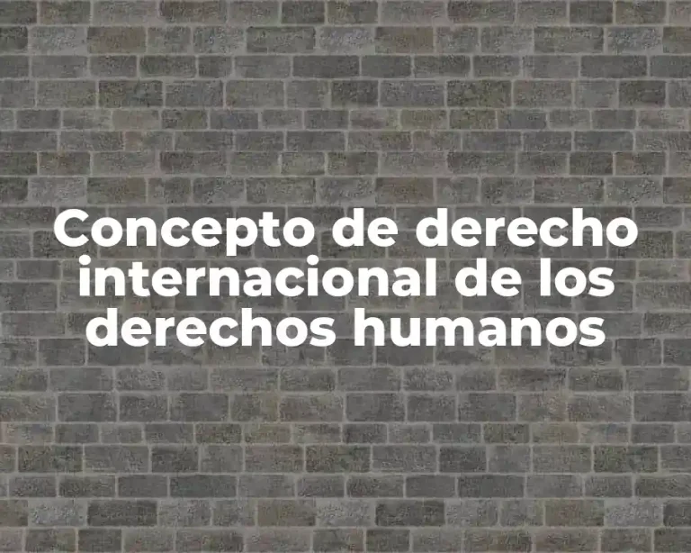 Concepto de derecho internacional de los derechos humanos