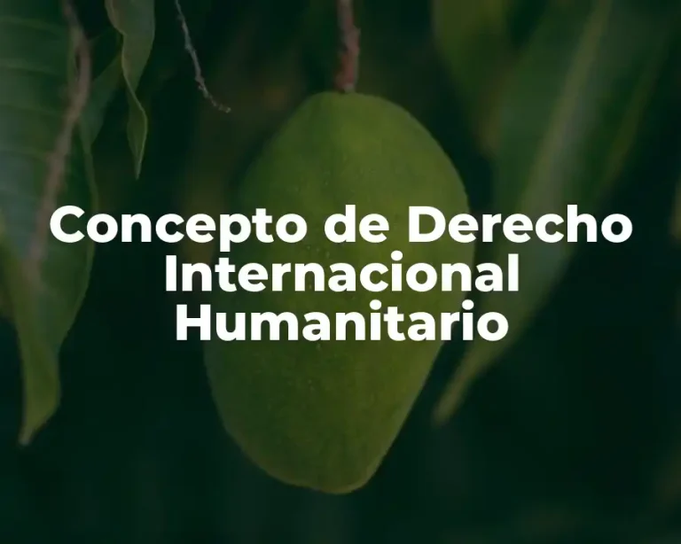 Concepto de Derecho Internacional Humanitario