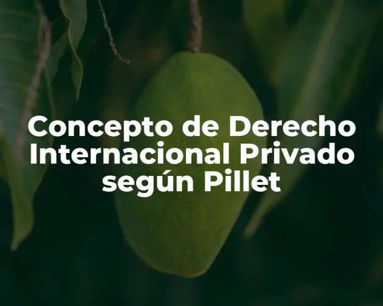 Concepto de Derecho Internacional Privado según Pillet