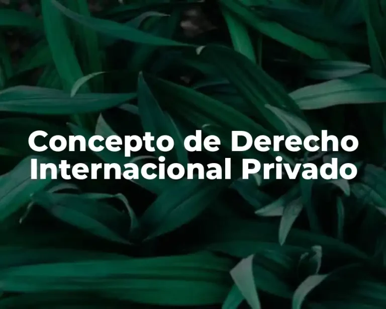 Concepto de Derecho Internacional Privado
