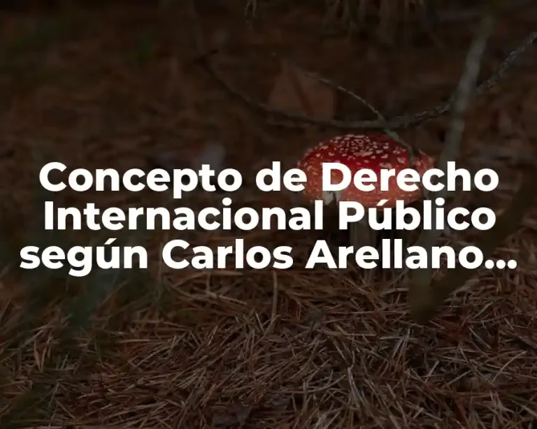 Concepto de Derecho Internacional Público según Carlos Arellano García