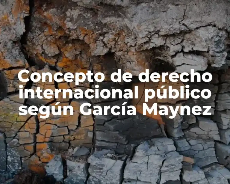 Concepto de derecho internacional público según García Maynez