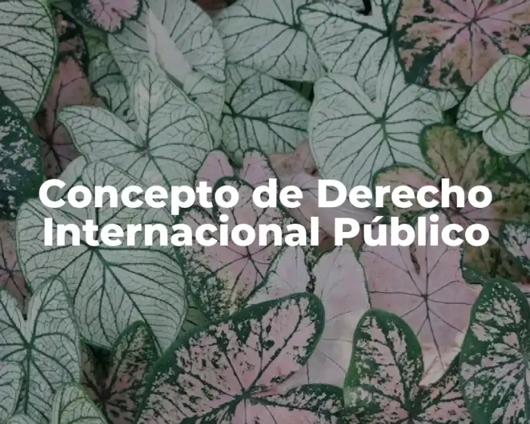 Concepto de Derecho Internacional Público