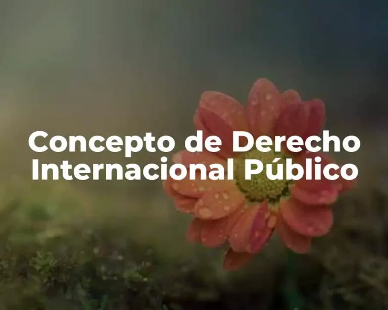 Concepto de Derecho Internacional Público