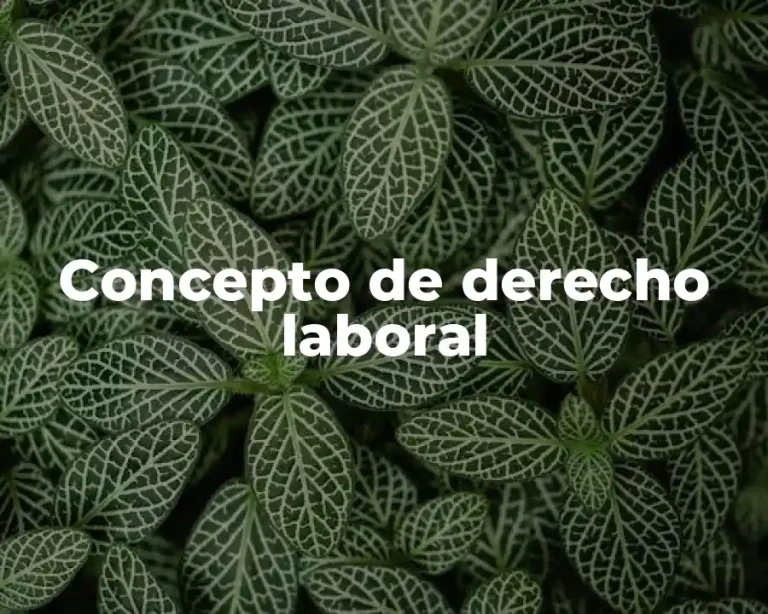 Concepto de derecho laboral